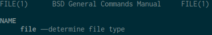 Terminal showing file man page