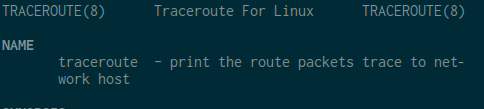 Terminal showing traceroute man page