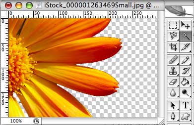 how to use magic wand tool to remove background